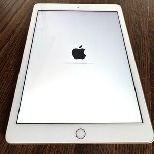 iPad 32GB 9.7” Screen 5th Generation Gold Apple Tablet  Excellent Condition OEM